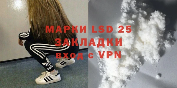 шишки Баксан