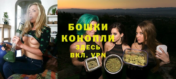 шишки Баксан