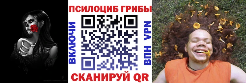 Псилоцибиновые грибы Magic Shrooms  что такое   Котельниково 
